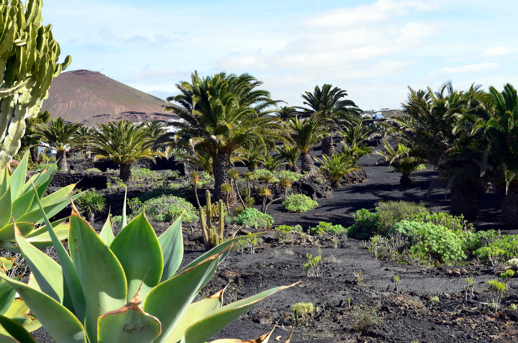 Cesar Manrique foundation, Tahiche, Lanzarote